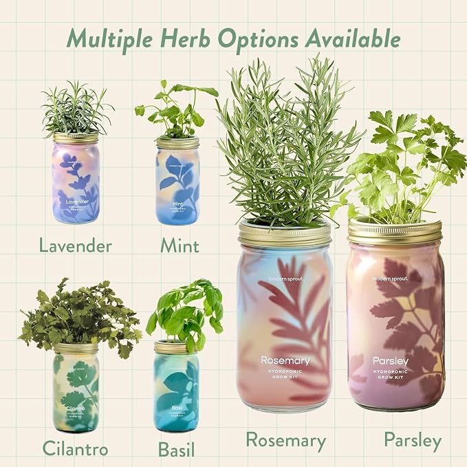 Modern Sprout Garden Jars+Smart Growbar Bundle- Self-Watering Hydroponic Herb Growing Kit with Full-Spectrum LED Grow Light, Organic Herb Seeds, Smart App, Adjustable Brightness, Gift for Mother's Day