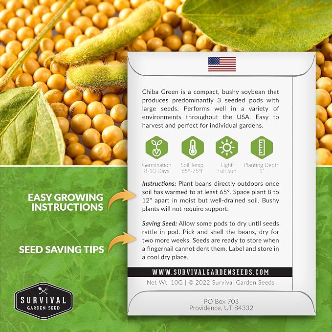 Chiba Green Edamame Seeds for Planting - Non-GMO Heirloom Soybean Variety for Vegetable Gardens - Tender Pods - Survival Garden Seeds (3 Packs)