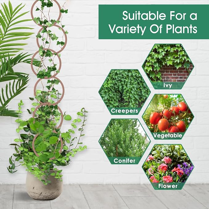 20pcs Round Chain Trellis for Climbing Plants Indoor, with 8pcs Self-Adhesive Hooks, HSSZXFR DIY Plant Climber Support for Vines and Garden Wall Trellis, for Monstera Pothos Ivy Flower
