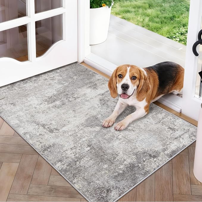 2x3 Modern Abstract Area Rug: Washable Non Slip Small Rug for Bathroom Grey | Sink Kitchen Bedside - Soft Low-Pile Doormat for Entryway Laundry Room Decor 2x3 Grey