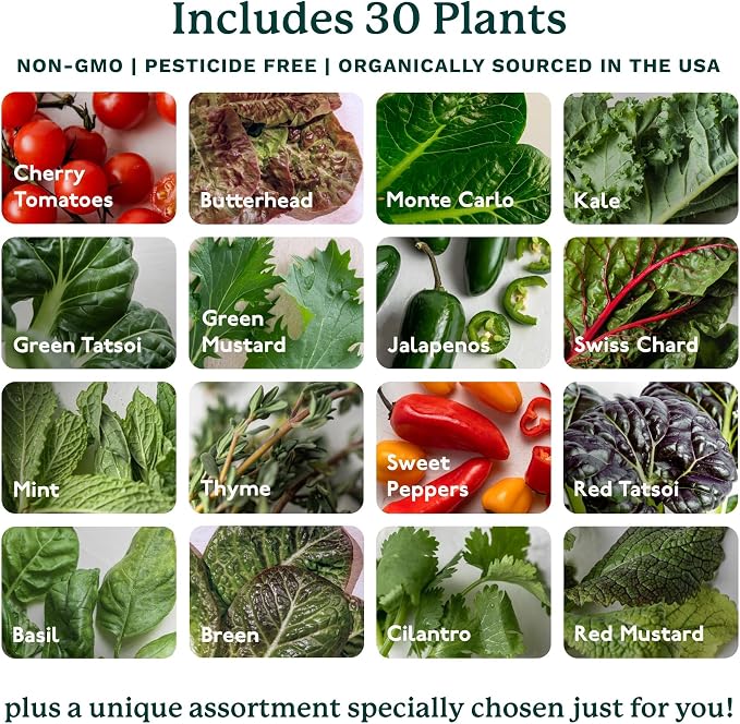 Gardyn Home 4 Vertical Hydroponics Growing System Kit - 30 Plants | AI-Powered Smart Garden with LED Grow Lights. Grow pesticide-free, non-GMO greens & veggies at home—safe, recall-free