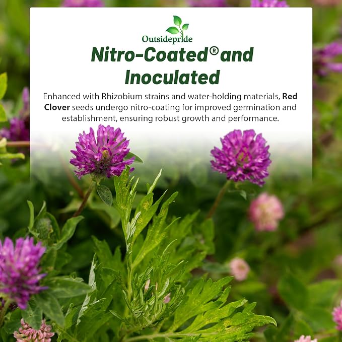 Outsidepride Perennial Red Clover Seeds - 5 lbs. Self-Seeding, Nitrocoated, Inoculated for Lawn, Yard, Forage, Pasture, Hay, Nitrogen Fixation, Soil Improvement & Crop Rotation Programs