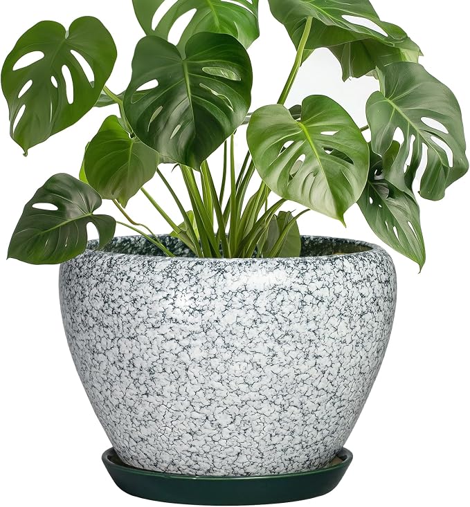 Ceramic Flower Pot, 8 Inch, Crackle Green | Round, Drainage Hole and Saucer, Indoor Outdoor, Modern Decorative