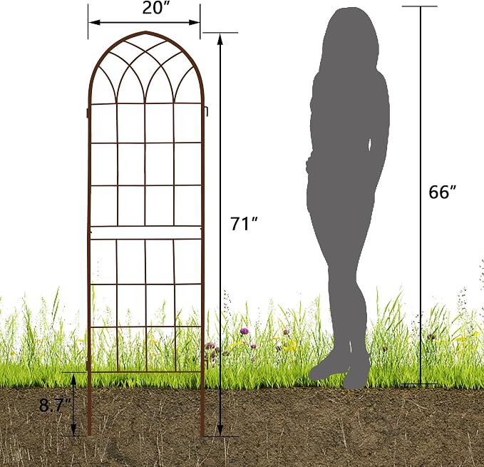 LZRS 2 Pack Rustic Iron Arch Decoration Garden Trellis with Metal Coating – Perfect for Supporting Climbing Plants Outdoor, Roses, Vines, Flowers, and Vegetables, Brown