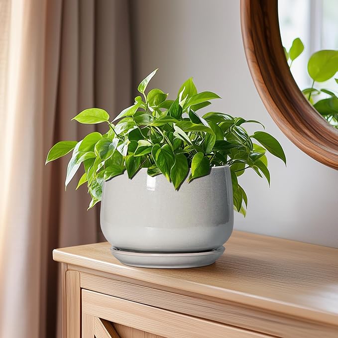 G EPGardening Ceramic Pots for Plants - 6 Inch Plant Pot with Drainage and Ceramic Tray, Modern Succulent Pots, Round Planters for Indoor Plants, Living Room Decor, Gifts for Plant Lovers, Light Grey