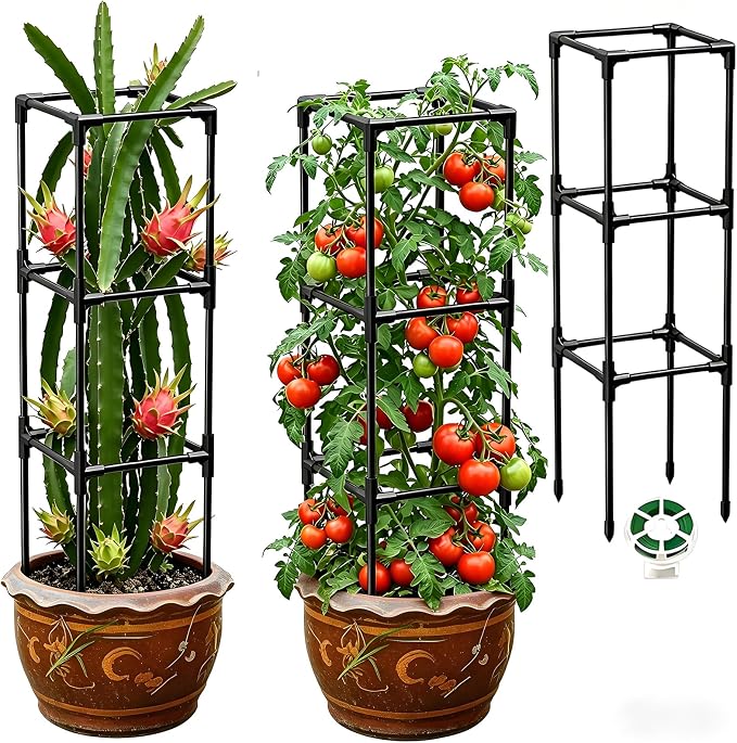 2PCS Dragon Fruit Trellis for Climbing Plants Indoor Outdoor, Heavy Duty Metal Adjustable Vertical Garden Support for Indoor Outdoor Potted Plants, Tomato, Cactus, Roses,Vines(10 * 10 * 47inch,2PC)