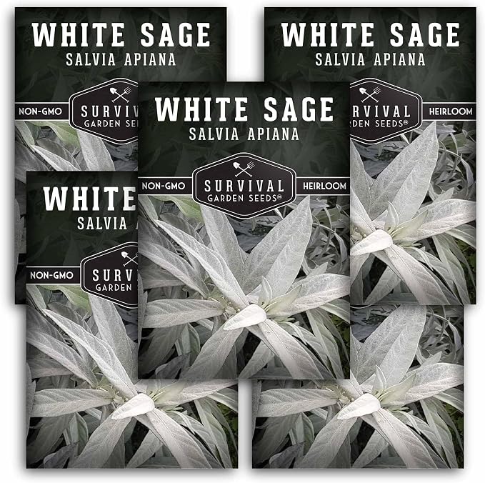 Survival Garden Seeds White Sage Seeds for Planting, 5 Packs | Salvia Apiana Seed, Native California Plant for Warm Dry Gardens & Smudging Herbs - Open-Pollinated Variety