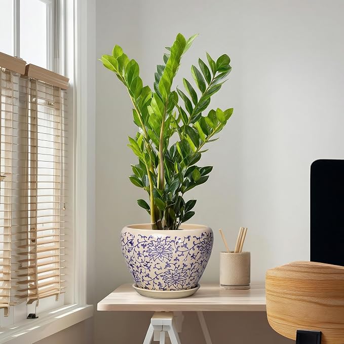 Ceramic Pots for Plants 10 Inch - Indoor Flower Pots with Drainage Hole and Tray, Decorative Pot for Indoor Outdoor Plants, Round Planters, Bathroom Decor, Gifts for Men Women, Retro Blue