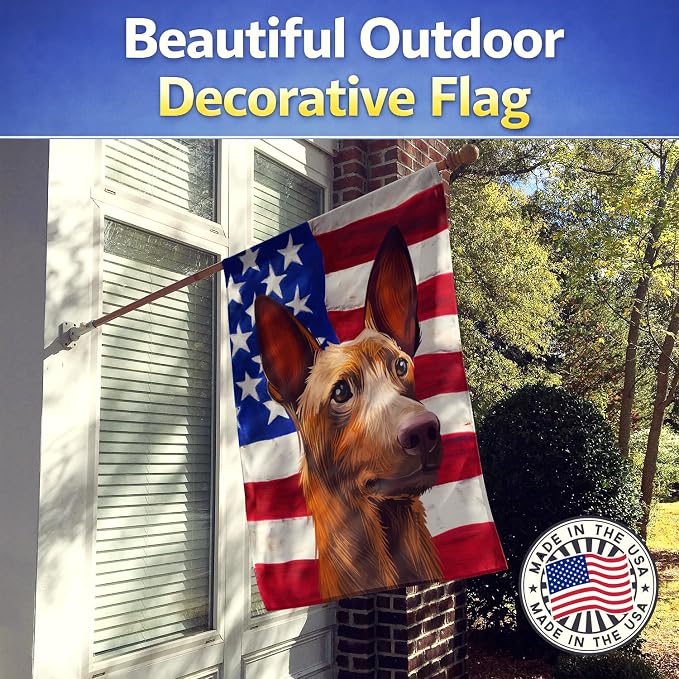 Caroline's Treasures CK6643CHF Pharaoh Hound Dog American Flag House Flag Large Porch Sleeve Pole Decorative Outside Yard Banner Artwork Wall Hanging, Polyester, House Size, Multicolor