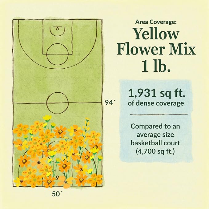 Ferry Morse Flower Seeds - Yellow Mix, Non-GMO, Full Sun - 1 lb