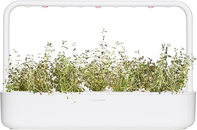 Click and Grow Smart Garden Thyme Plant Pods, 3-Pack