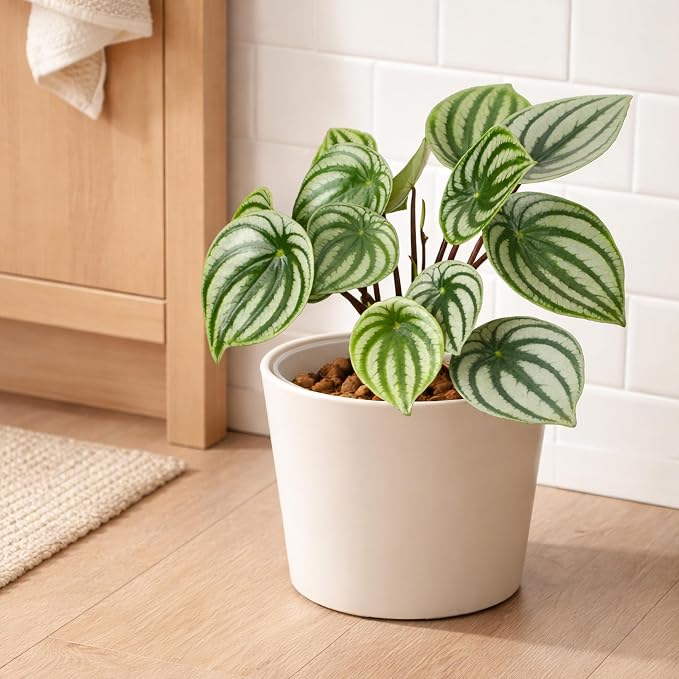 Phoenix Vine 6.6 Inch Oatmeal Plastic Cachepot with Clear Nursery Pot, Decorative Lightweight Planter Cover with Transparent Inner Pot for Indoor Houseplants, Pack of 1, 24-C-G-1