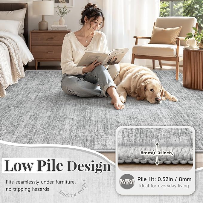 6x9 Area Rugs Living Room Rug: Washable Modern Abstract Rugs Neutral Non Slip Rug Soft Low Pile Indoor Bedroom Carpet for Nursery Office Dining Room Kids Room (Grey, 6'x9')
