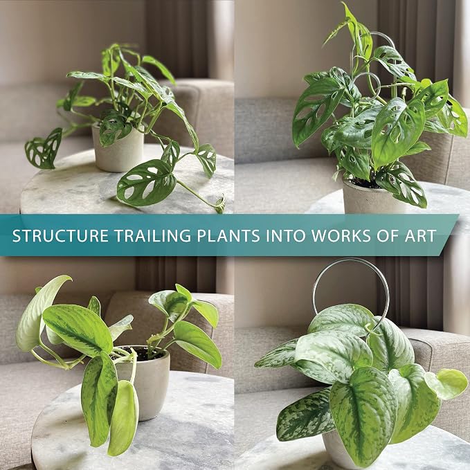 Small Metal Trellis for Indoor Plants Metal Plant Stake for Climbing House Plants Plant Support for Potted Plants Orchids, Monstera, Pothos, Ivy, Hoya, Philodendron Set of 4 (Simply Silver)