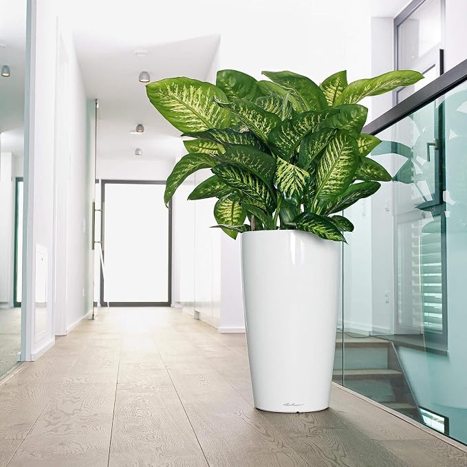 Lechuza Rondo 40 White High Gloss, Self-Watering Tall Planter, D15.7 H29.5 in