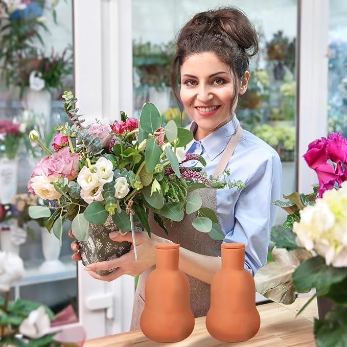 Blushtier 2 Pcs Olla Terracotta Watering Globes 6.3 Inch Olla Self Watering Pot with Lid Clay Plants Self Irrigate System Plant Irrigation Insert Spikes for Indoor Outdoor