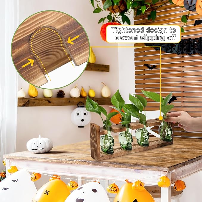Plant Propagation Stations Halloween Skull Plant Terrarium Kit | Glass Vases Gift for Father Air Planter Home Office Decor