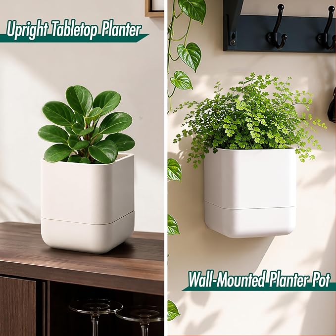 Phoenix Vine 4.5 Inch Wall Mounted Self-Watering Planter Pot for Indoor Houseplants and Herbs | Hanging Planter for Window Sills, Bathroom Walls, Home & Office Décor, Oatmeal, Set of 2, 01-B-G-2