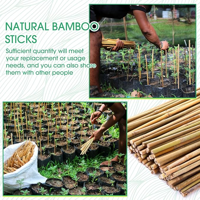 Suclain 60 Pcs Bamboo Plant Stakes Natural Garden Support Sticks for Climbing Plants Sturdy Bamboo Garden Stakes for Tomato, Beans, Flowers and Potted Plants, Vegetables, Indoor & Outdoor (2 ft)