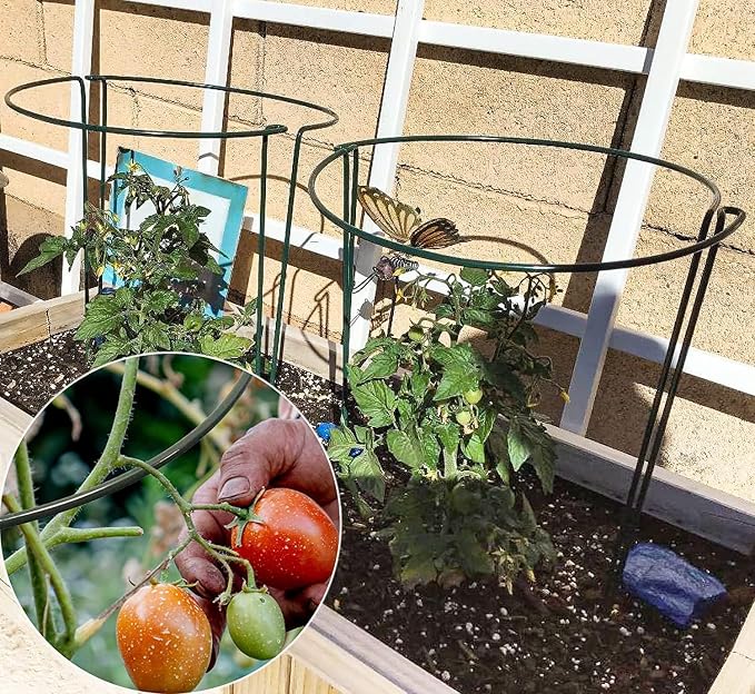 TCBWFY 10 Pack Garden Plant Support Stakes,10" Widex16 High Heavy Duty Interlinked Half Round Peony Support Ring Cage for Indoor Outdoor Plants,Plant Supports for Peony,Tomato,Hydrangea,Rose