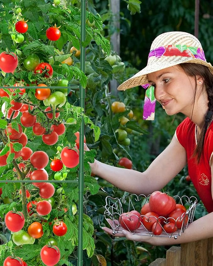 MYMULIKE 8 Pack Tomato Cages for Garden, 51in*13in Adjustable Tomatoes Plant Stakes Support Cages Trellis, Garden Trellis for Vegetable Flowers Fruits Climbing Plants- 20 Binding Wires Included