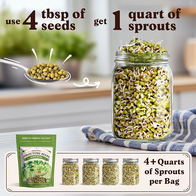 Seedboy Organic Non-GMO Mung Bean Seeds for Sprouting - Microgreens Sprouting Seeds - 8 oz Bag Makes 6 Quarts / 24 Servings (Mung Bean)