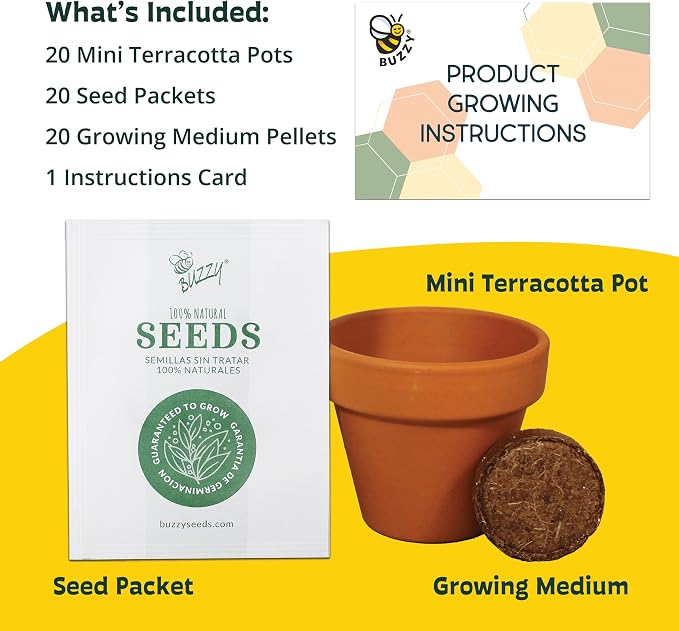 BUZZY Seeds Forget-Me-Not Grow Kit, Bulk 20-Pack - Mini Terracotta Pot Grow Set - Complete Indoor/Outdoor Gardening Kit with Seeds, Coconut Husk Growing Medium & Genuine Pots - 100% Grow Guarantee
