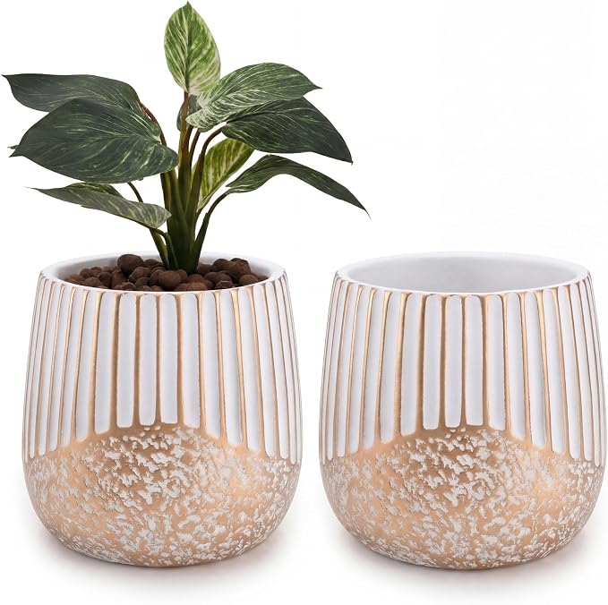 Vanavazon 2-Pack Cement Plant Pots for Indoor Plants,6 Inch Flower Pots with Drainage Holes for Houseplants,Succulents, Snake Plants (White Gold)