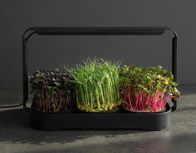 Microgreens Growing Kit Indoor, Micro Greens Indoor Herb Garden Kit with LED Light, 3 Microgreens Growing Trays, 6 Jute Mats - Indoor Grow Kit & Herb Growing Kit (No Seeds)