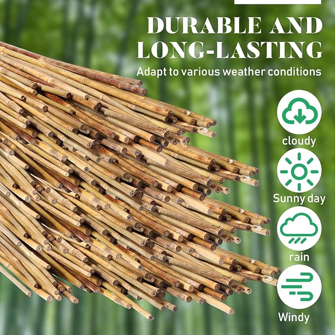 Suclain 100 Pcs Bamboo Plant Stakes Natural Garden Support Sticks for Climbing Plants Sturdy Bamboo Garden Stakes for Tomato, Beans, Flowers and Potted Plants, Vegetables, Indoor & Outdoor (3 ft)