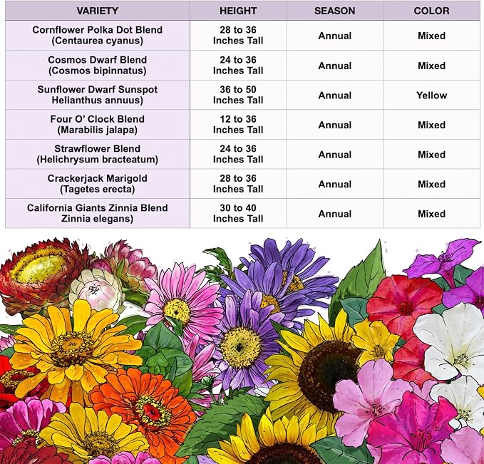 Seed Needs Garden Flower Seeds Large Blooms Mix 1 Ounce Heirloom Bulk Pack