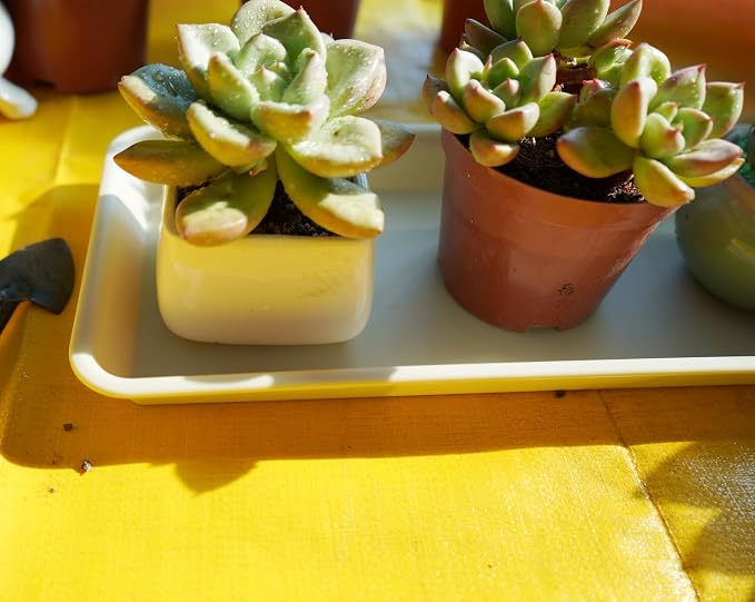 VUWEZ 2 Pack Plastic Plant Saucer, Rectangular 24 inch, Indoors/Outdoors, Drip Tray for Flower Pot, Windowsill (8 X 24'', Beige)