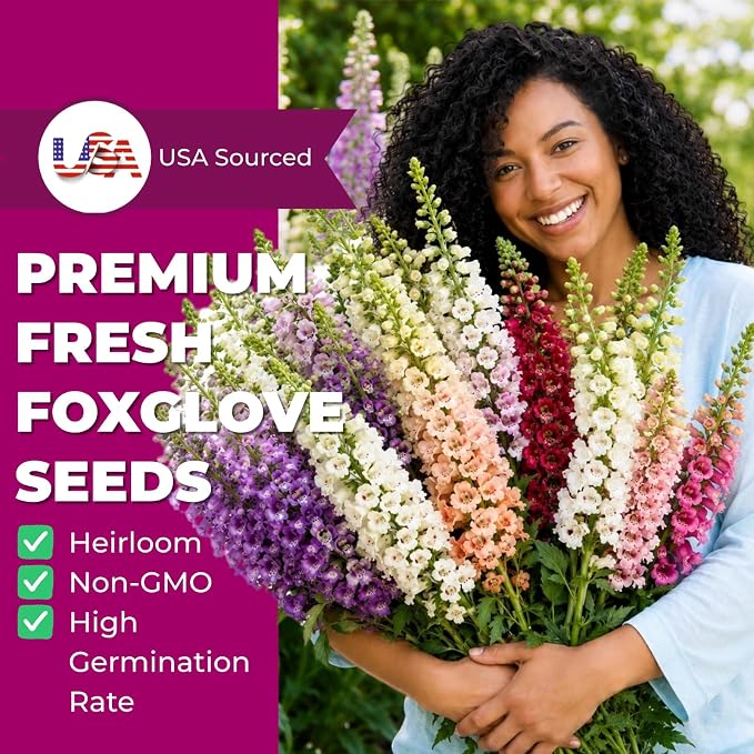 350,000+ Common Foxglove Seeds for Planting - Digitalis Purpurea Seeds, Tall Ornamental Flower Seeds for Outdoor Cottage and Pollinator Gardens