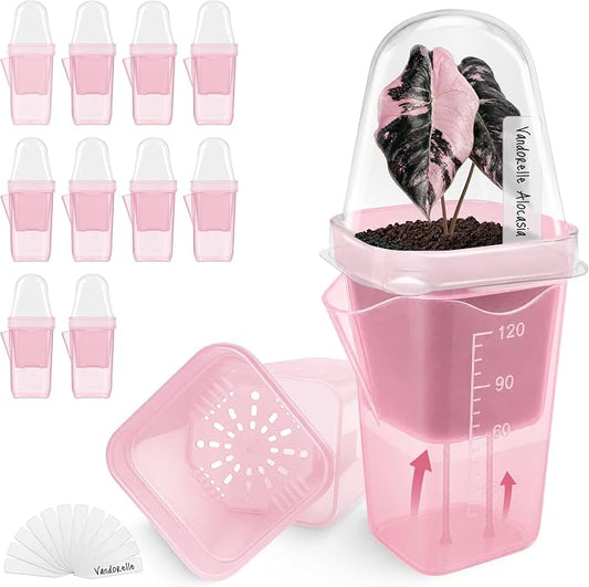 12 Pack 2" Small Pink Self Watering Pots with Humidity Dome for Indoor Plants,Clear Seed Starter Cup,Tissue Culture Acclimation Kit,Alocasia Corm Propagation,African Violet,Cutting,Seedling