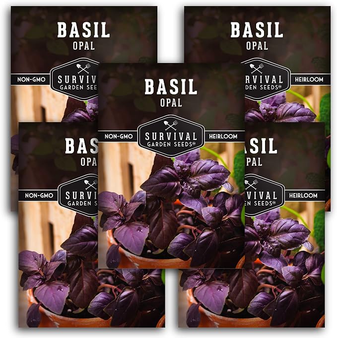 Opal Basil Seeds for Planting - Survival Garden Seeds (5 Pack) | Dark Purple, Nearly Black Leaves - Unique Herb Seed Variety - Heirloom, Non-GMO Herbs for Home Gardens
