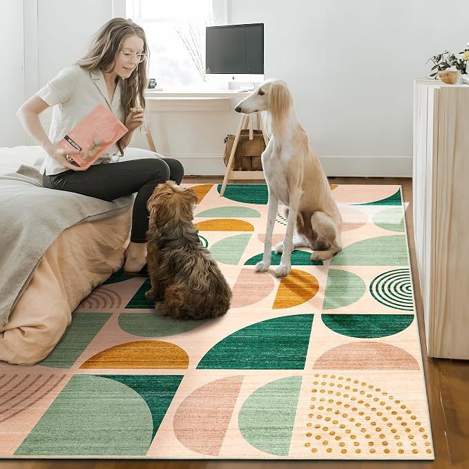 Green Rug Boho Washable,4x6.5 Area Rugs for Bedroom Entryway Living Room Bedside,Small Throw Floor Carpet Non Slip Soft Indoor Modern Abstract Sage Green
