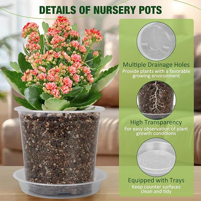 10 Inch Clear Nursery Pots with Drainage Holes and Saucers, 5 Pack Large Clear Pots for Plants Variety Pack, Seedling Pots for Succulents, Herbs, Flowers, Vegetables