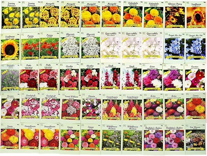 Set of 1000 Flower Seed Packets - Flower Seeds in Bulk - 15 or More Varieties Available - Great for Creating Colorful Gardens (1000)