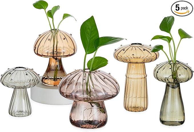 Hewory Glass Mushroom Propagation Stations: Set of 5 Unique Propagation Jars Glass Planter for Indoor Plants Home Decor - Amber Mushroom Vase Christmas Birthday Gifts for Plant Lovers Women Girls