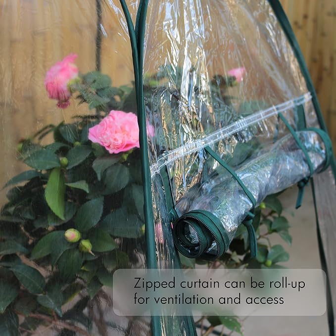 Gardzen 27"x27"x31" Pop up Grow Tent Small Greenhouse, Steel Frame Portable Plant Flowers Mini Green House Zipper Cover for Outdoor & Indoor Use