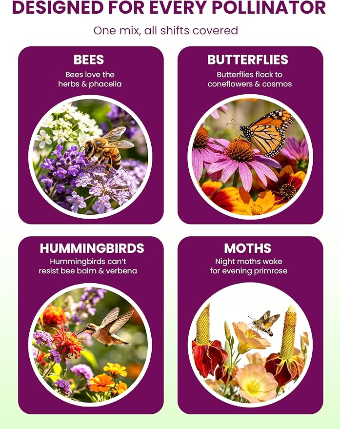 Wildflower Seeds Mix – Pollinator All-Stars, 20 Heirloom Varieties, 10,000+ Seeds (4oz) Covers 100-120 sq.ft. – High Germination for Bees, Butterflies, Hummingbirds & Moths Outdoor Garden