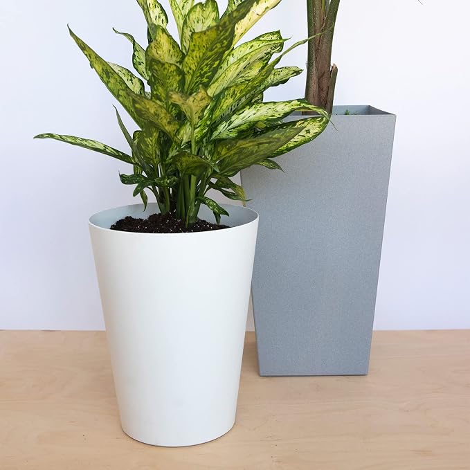Bloem Tall Finley Tapered Square Planter: 20" - Cement Gray - Matte Textured Finish, 100% Recycled Plastic Pot, for Indoor and Outdoor Use, Gardening, 5 Gallon Capacity