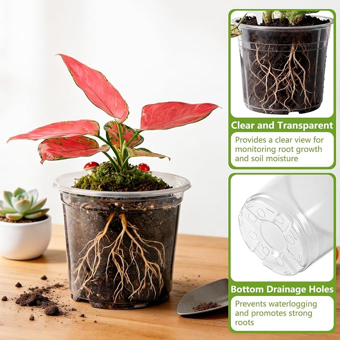 36 Pack 6/8/10 Inch Clear Nursery Pots with Drainage Holes, Transparent Plastic Plant Pots with 40 Waterproof Tags and 2 Mini Transplant Tools, Clear Pot for Plants and Vegetables(Each Size 12)