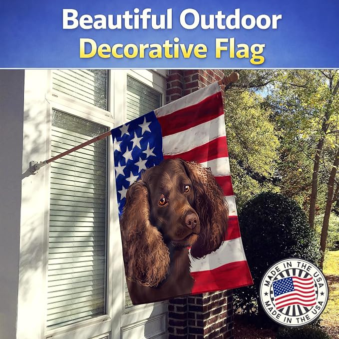 Caroline's Treasures CK6402CHF American Water Spaniel American Flag House Flag Large Porch Sleeve Pole Decorative Outside Yard Banner Artwork Wall Hanging, Polyester, House Size, Multicolor