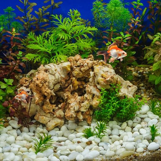 FANTIAN 40 lbs White River Rocks for Landscaping, 2-3 Inch Polished Pebbles for Indoor Plants, Decorative White Stones for Planters, Vase, Aquarium, Fish Tank and Garden