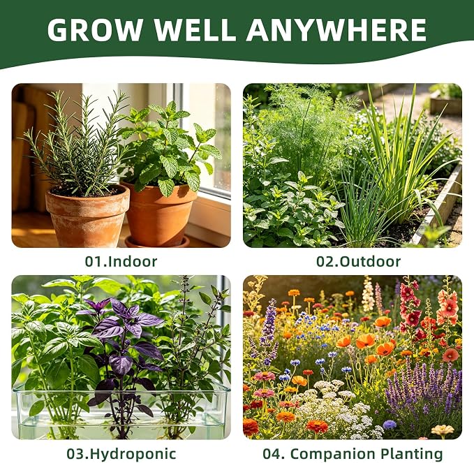 35 Medicinal & Tea Herb Seeds Variety Pack, 18,800+ Premium Garden Seed Vault Kit, Pollinator Friendly, Indoor & Outdoor Year-Round Planting, Lavender, Basil, Cilantro, Peppermint, Chamomile & More