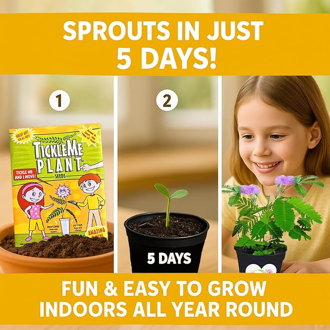 Birthday Gift for Mom – TickleMe Plant that Moves When Touched – Adult Plants Can Produce Pink Flowers – Unique Gift for Mom from Daughter, Son or Kids – Easy Indoor Grow Kit