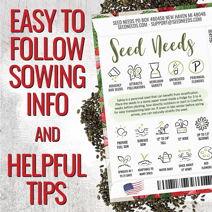 Seed Needs Scarlet Sage Seeds to Plant Perennial Red Salvia 10 Pack