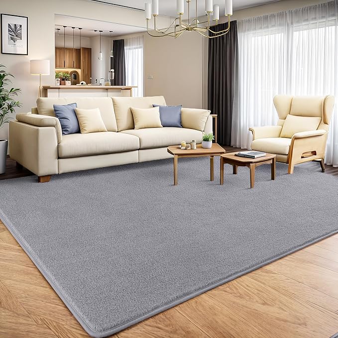 AROGAN 4x6 Area Rugs for Living Room Non Slip Dorm Bedroom Rug, Grey | Modern Area Rugs with Soft Memory Foam, Minimalist Washable Indoor Floor Carpet for Dining Room Office Kids Playroom Decor