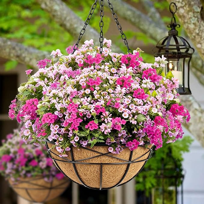 20 Inch Natural Coconut Husk Fiber Liners for planters Round Coco Replacement Liners for Hanging Flower Basket Planter Large Coco Coir Pots for Outdoor Garden Planting – 2 Pack